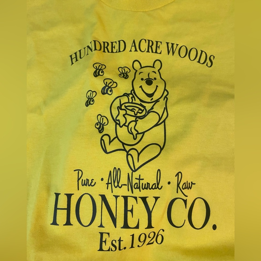 Large Yellow Gildan’s tee with Pooh Bear and says “hundred acre woods honey co.”